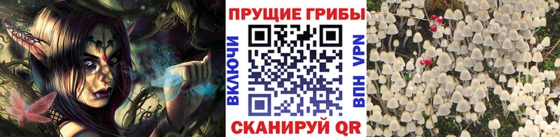Галлюциногенные грибы GOLDEN TEACHER  Суворов 